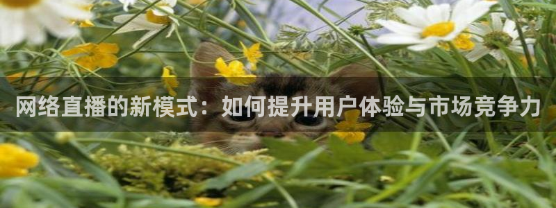 松鼠体育在线直播视频