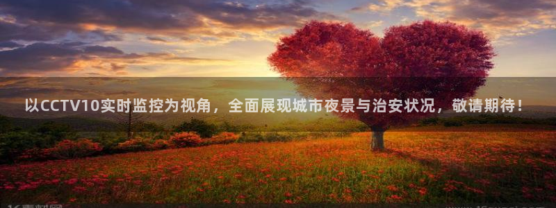 松鼠体育在线直播：以CCTV10实时监控为视角，全面展现城市夜景与治安状况，敬请期待！