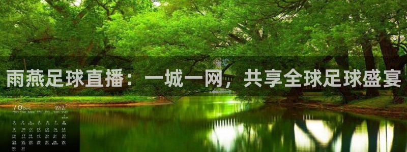 松鼠客户端：雨燕足球直播：一城一网，共享全球足球盛宴