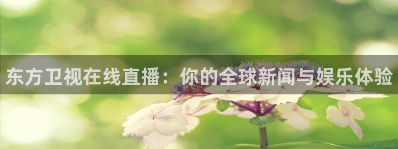 松鼠看球直播：东方卫视在线直播：你的全球新闻与娱乐体验