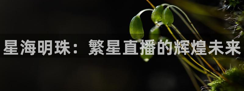 松鼠客户端：星海明珠：繁星直播的辉煌未来