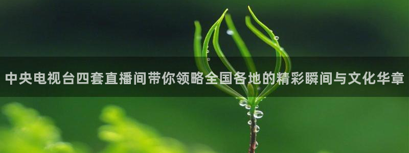 松鼠网官方下载：中央电视台四套直播间带你领略全国各地的精彩瞬间与文化华章